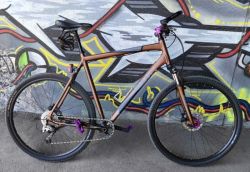 Giant X-Sport 