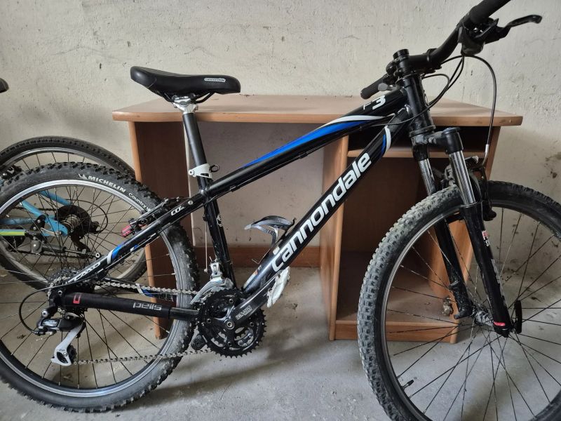 Cannondale F3