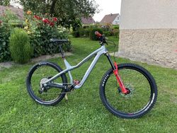 Dartmoor Hornet Pro - Mullet