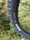 Gt sensor carbon elite 29 M