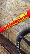 Cannondale Saeco 