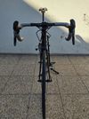 Cipollini Bond 