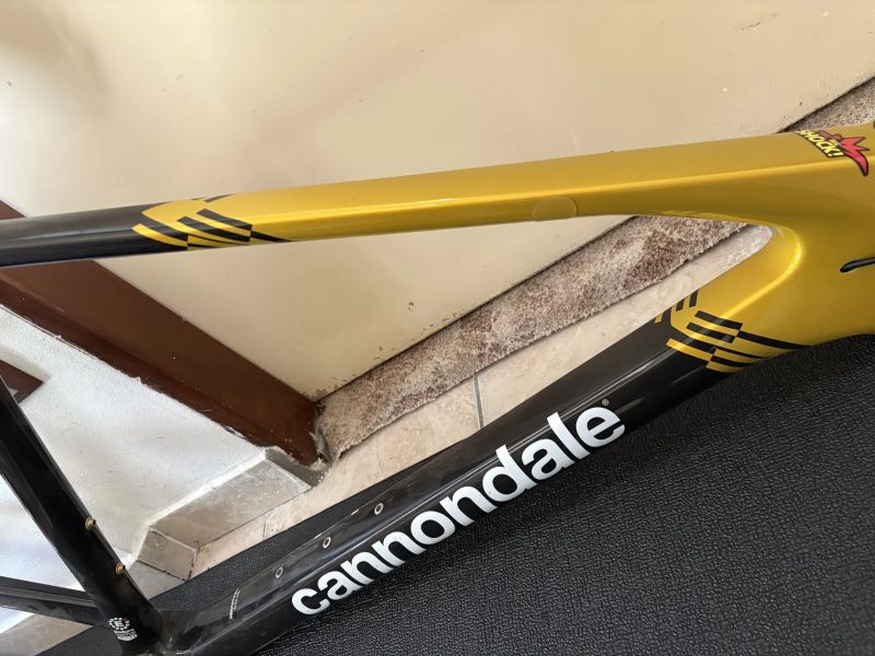 Cannondale Scalpel HT carbon