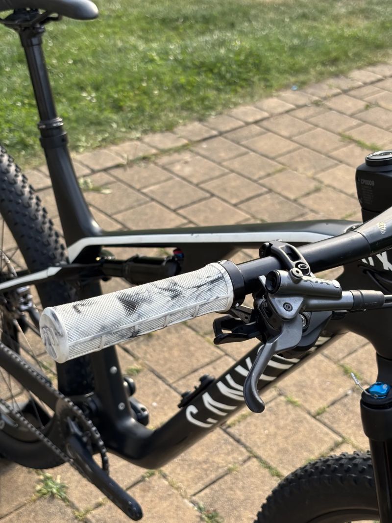Canyon Lux 2021