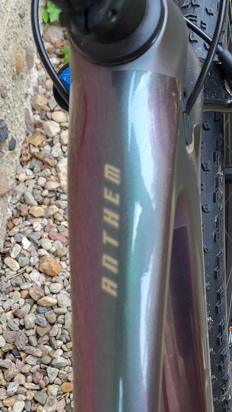 Giant Anthem Advanced 2024. 