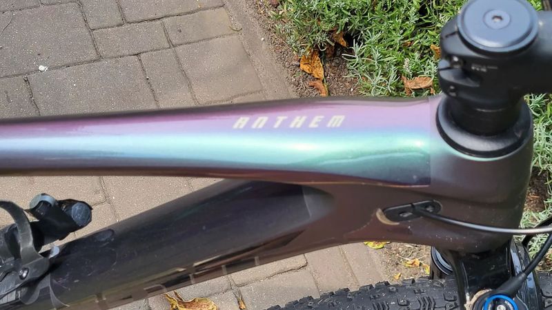Giant Anthem Advanced 2024. 