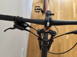 Juniorské MTB Rascal Bike Wild 29"-záruka do 04/2026