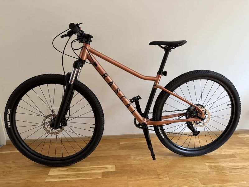 Juniorské MTB Rascal Bike Wild 29"-záruka do 04/2026