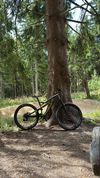 2016 S-Works Enduro 650b
