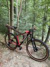 THRUST 29” Carbon 