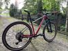 THRUST 29” Carbon 
