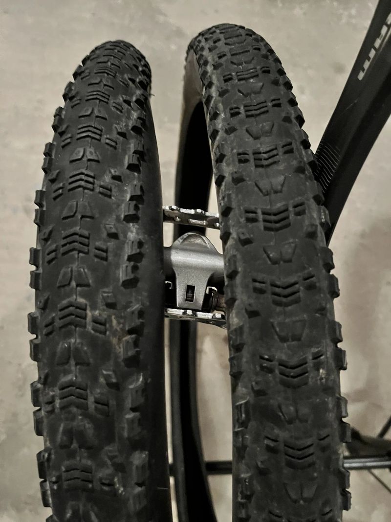Avelanche Expert BB 2021