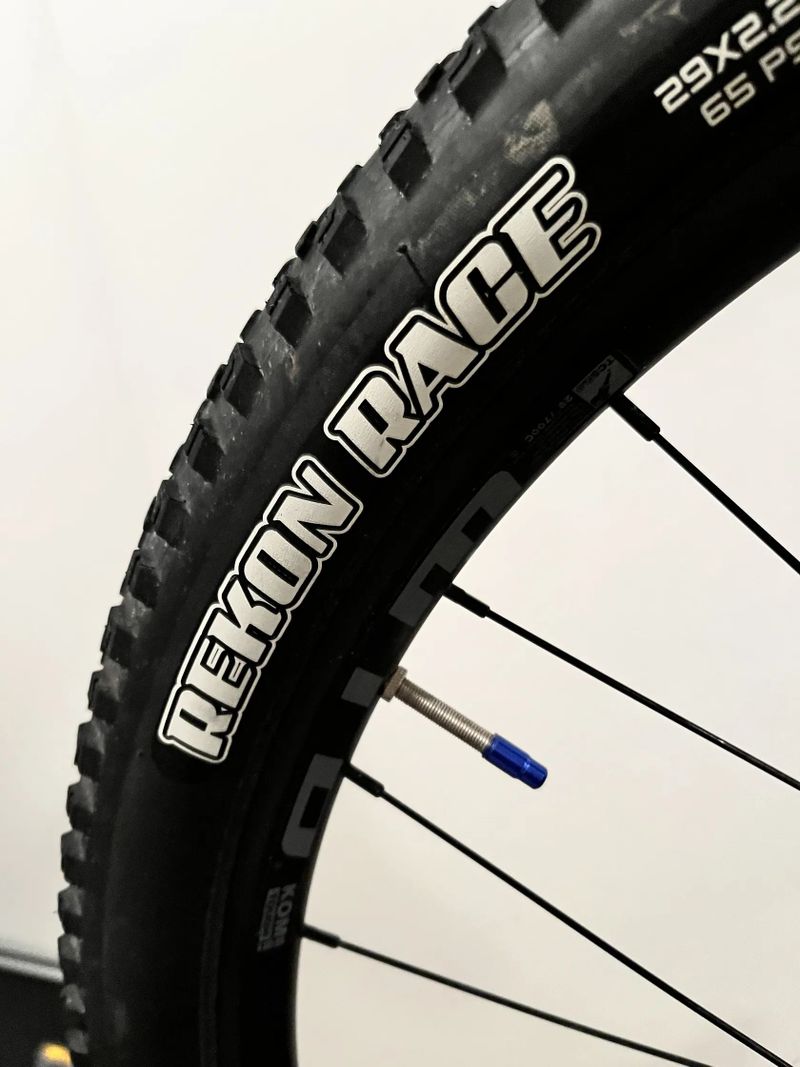 Avelanche Expert BB 2021