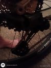 Lapierre spicy