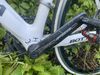 Bottecchia reparto corse
