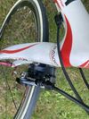 Bottecchia reparto corse