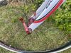 Bottecchia reparto corse