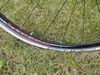 Bottecchia reparto corse