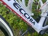 Bottecchia reparto corse