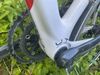 Bottecchia reparto corse