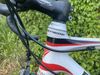 Bottecchia reparto corse