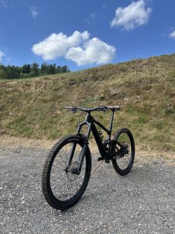 Specialized Enduro Sworks