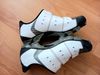 Specialized vel.42 - cena bez kufru 