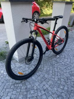 Specialized 