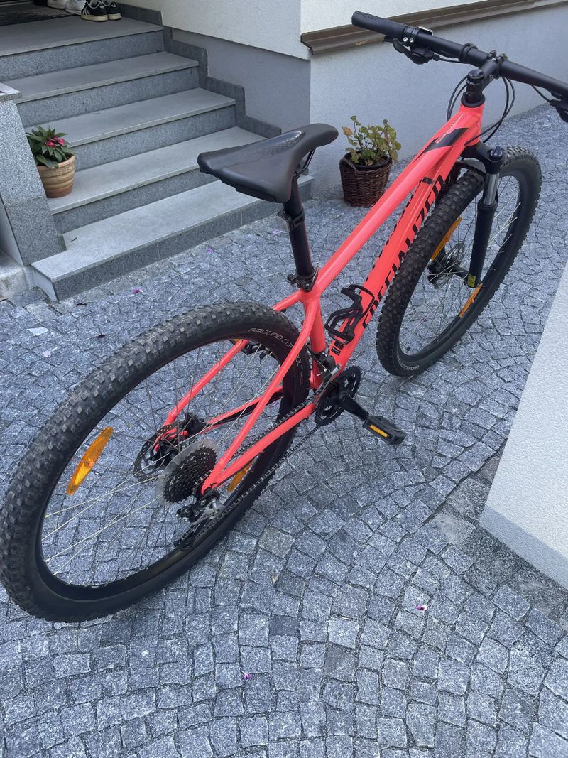 Specialized 