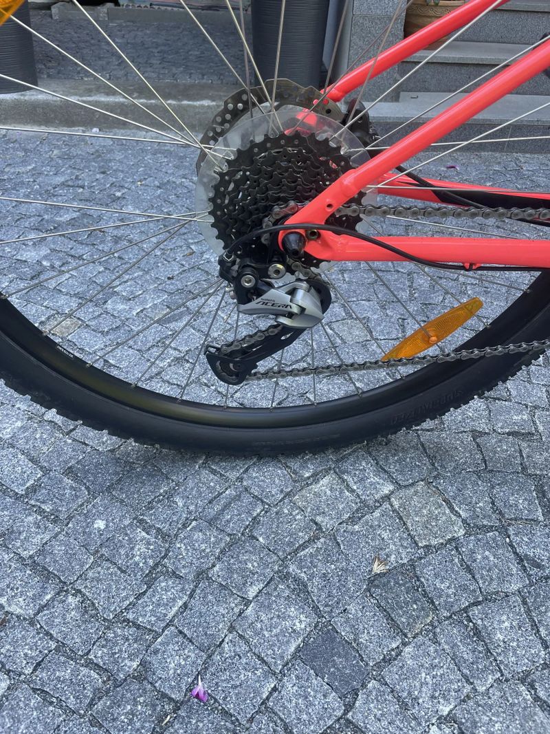 Specialized 