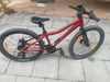 Bergamount 24”