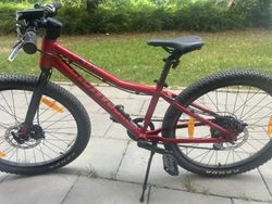 Bergamount 24”