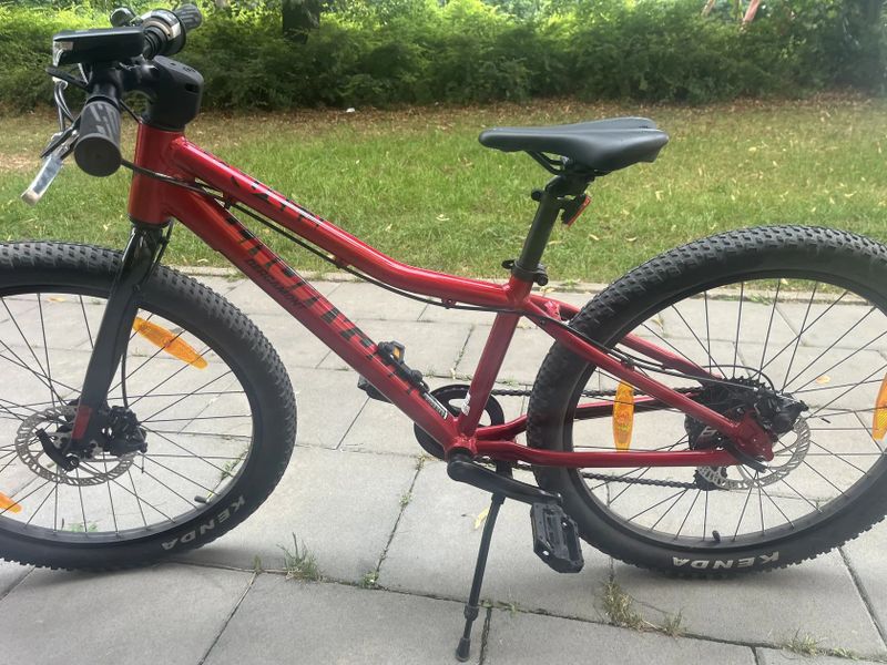 Bergamount 24”