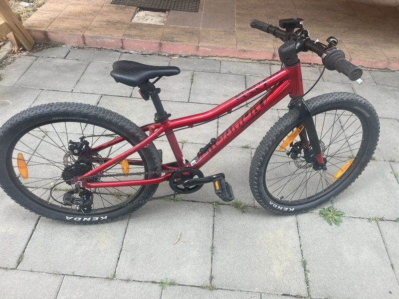 Bergamount 24”