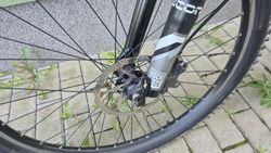 Specialized