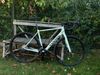 Canyon Endurace Raw (puvodne Endurace AL 7) 2024