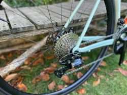 Canyon Endurace Raw (puvodne Endurace AL 7) 2024