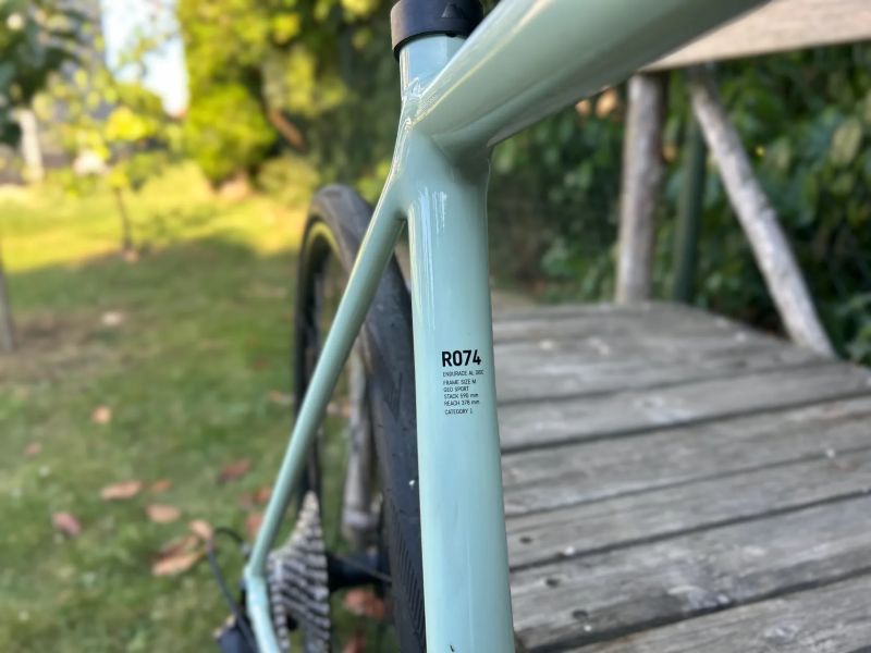 Canyon Endurace Raw (puvodne Endurace AL 7) 2024