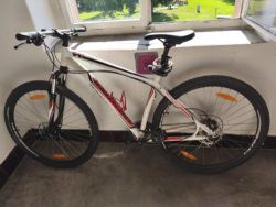 Horské kolo - SPECIALIZED Hardrock Sport Disc 29" 2014