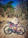 Gravel bike Trek Checkpoint ALR 4
