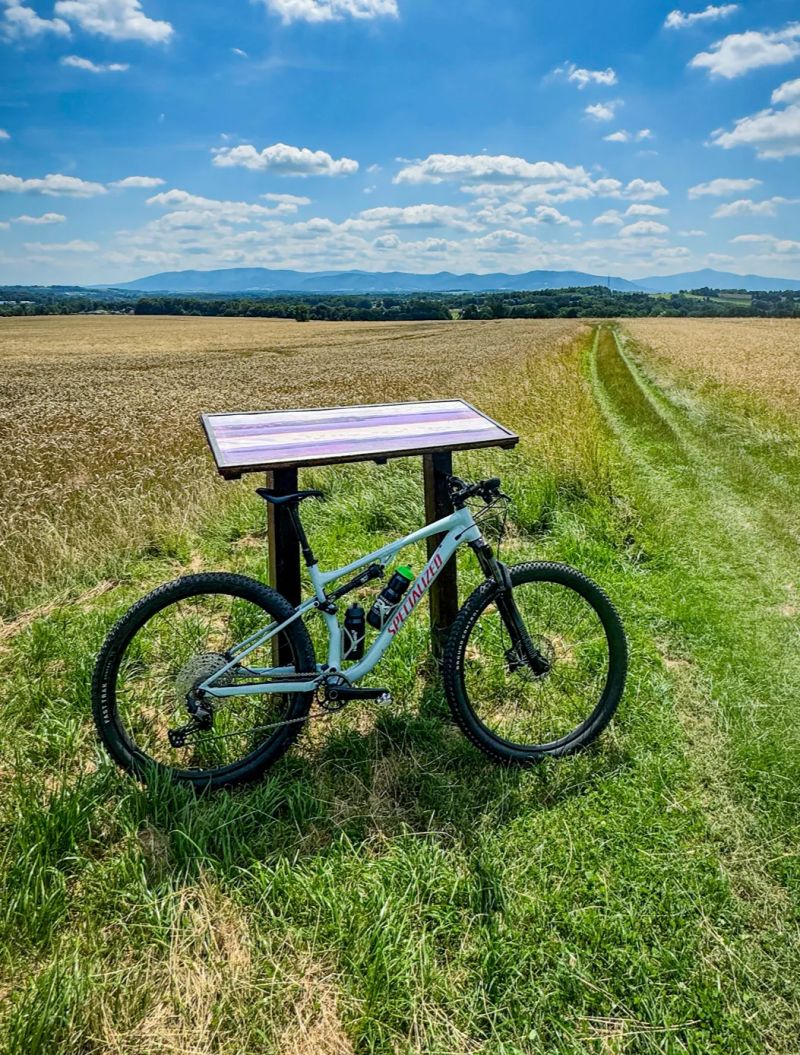 Těměř nový SPECIALIZED Chisel Base FS 29