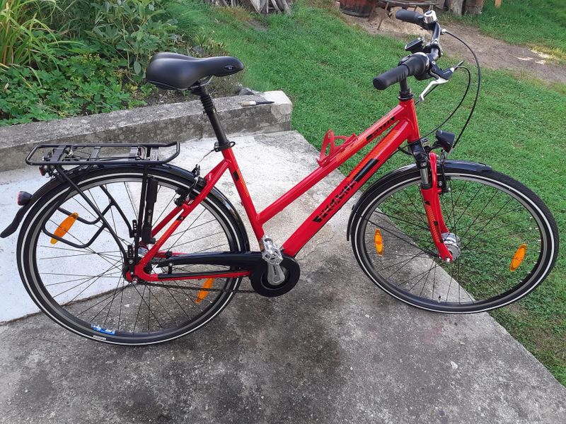 Pegasus 50
