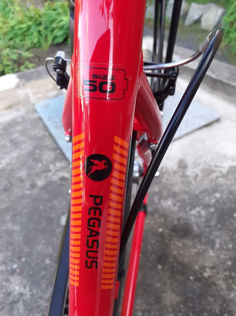Pegasus 50