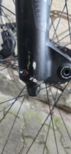 Cannodale moterra carbon 2020