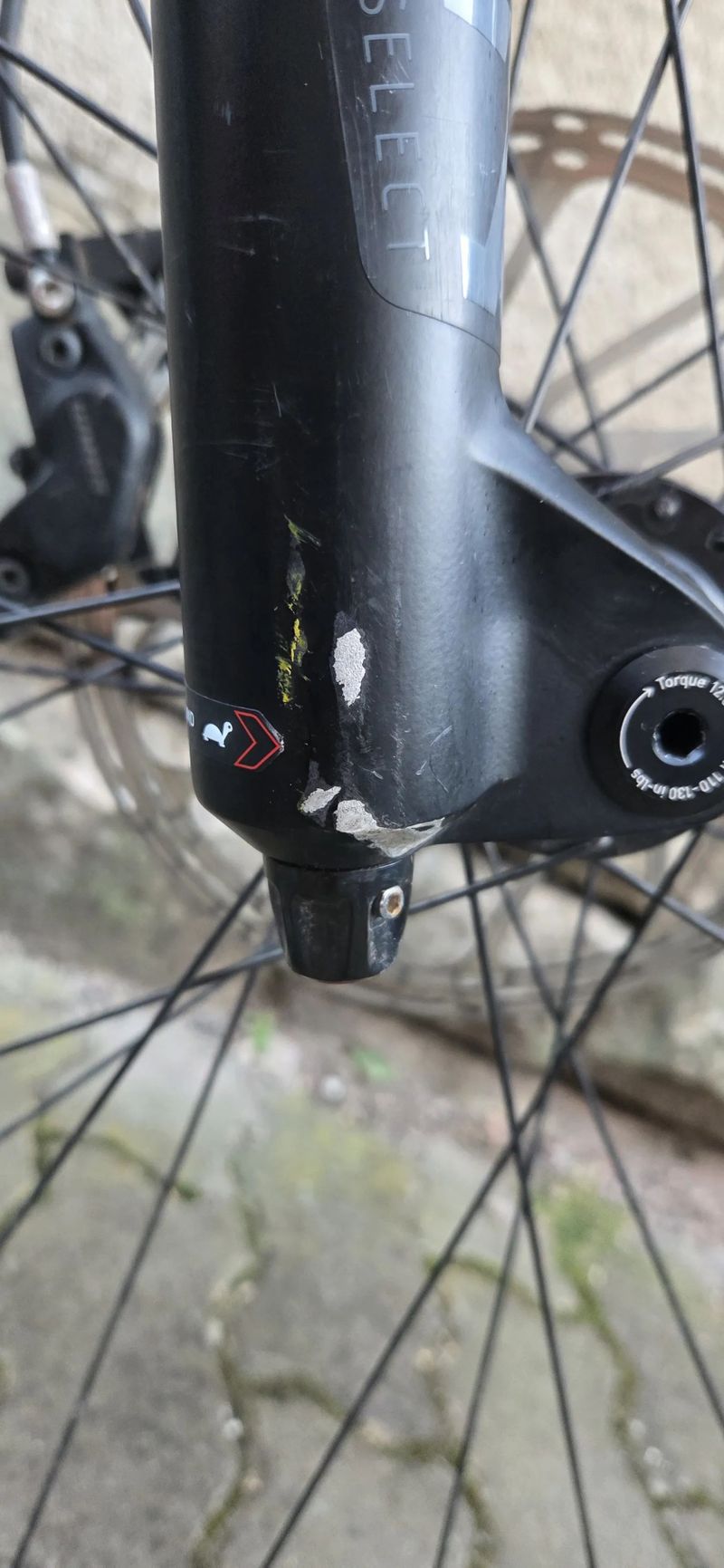 Cannodale moterra carbon 2020