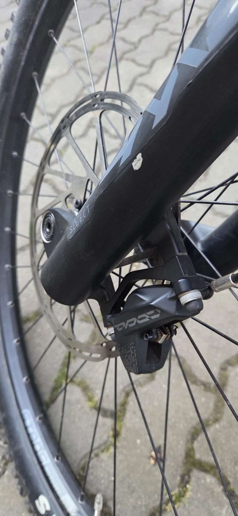 Cannodale moterra carbon 2020