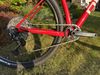 Pells Duke XT 2020