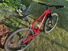 Pells Duke XT 2020