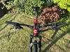 Pells Duke XT 2020