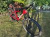 Pells Duke XT 2020